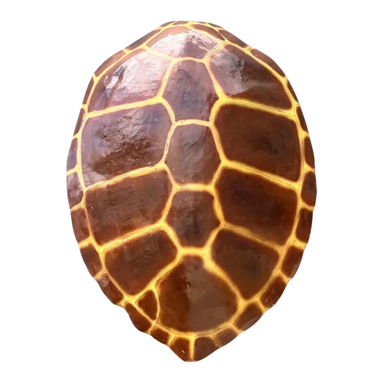 Vintage Monumental Faux Tortoise Shell