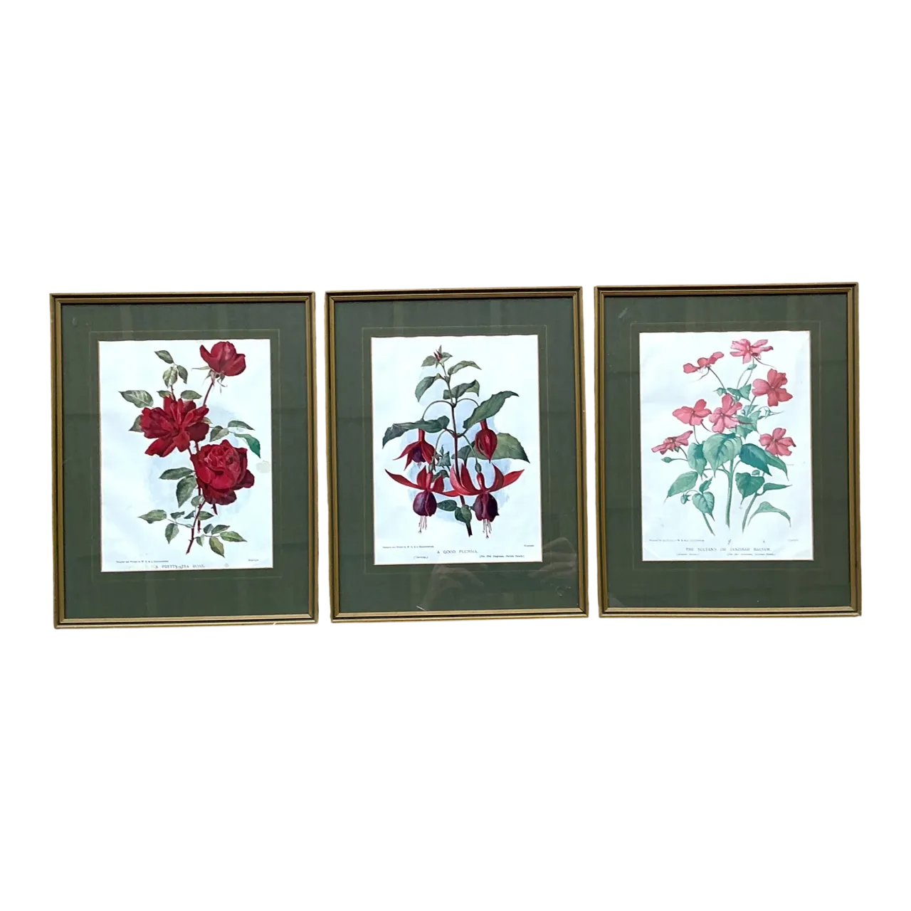 Vintage Botanical Floral Prints in Gilt Frames - Set of 3
