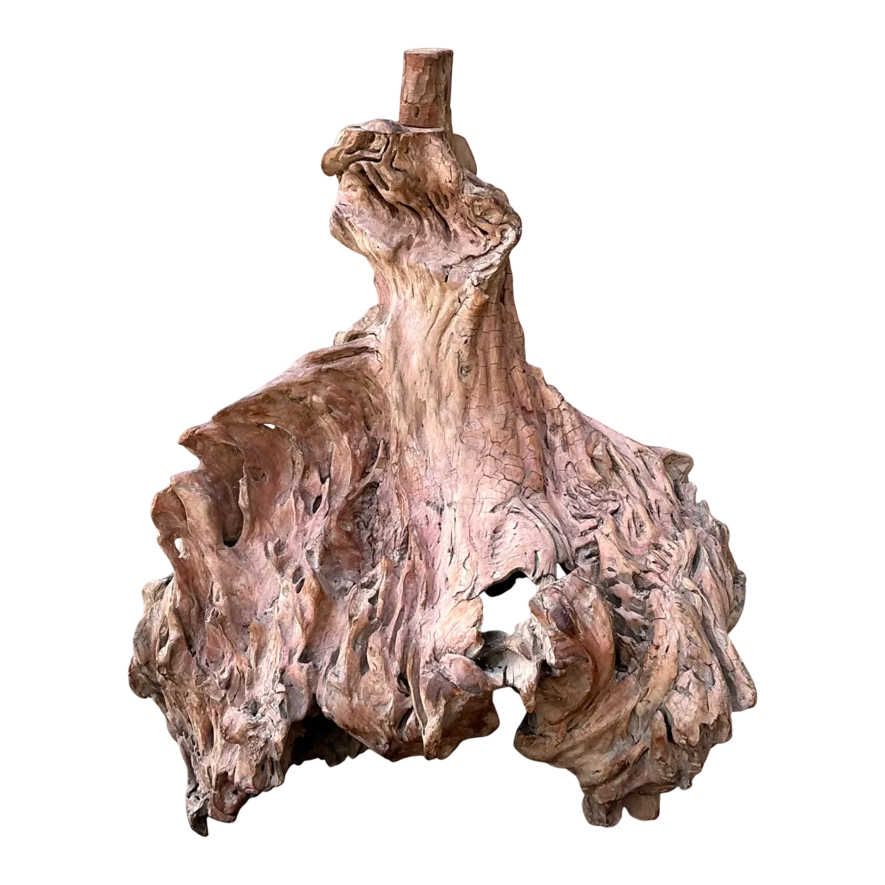 Vintage Organic Driftwood Decorative Object