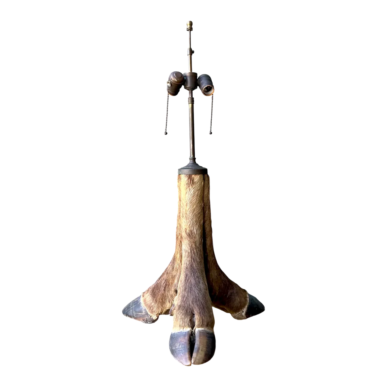 Vintage Taxidermy Hoof Table Lamp