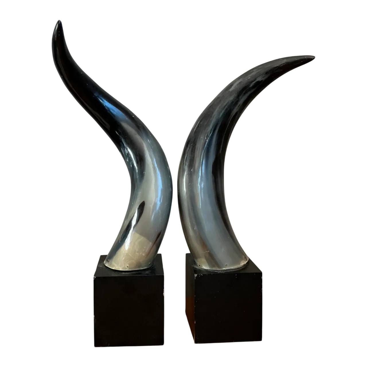 Vintage Decorative Horns On Wood Plinths