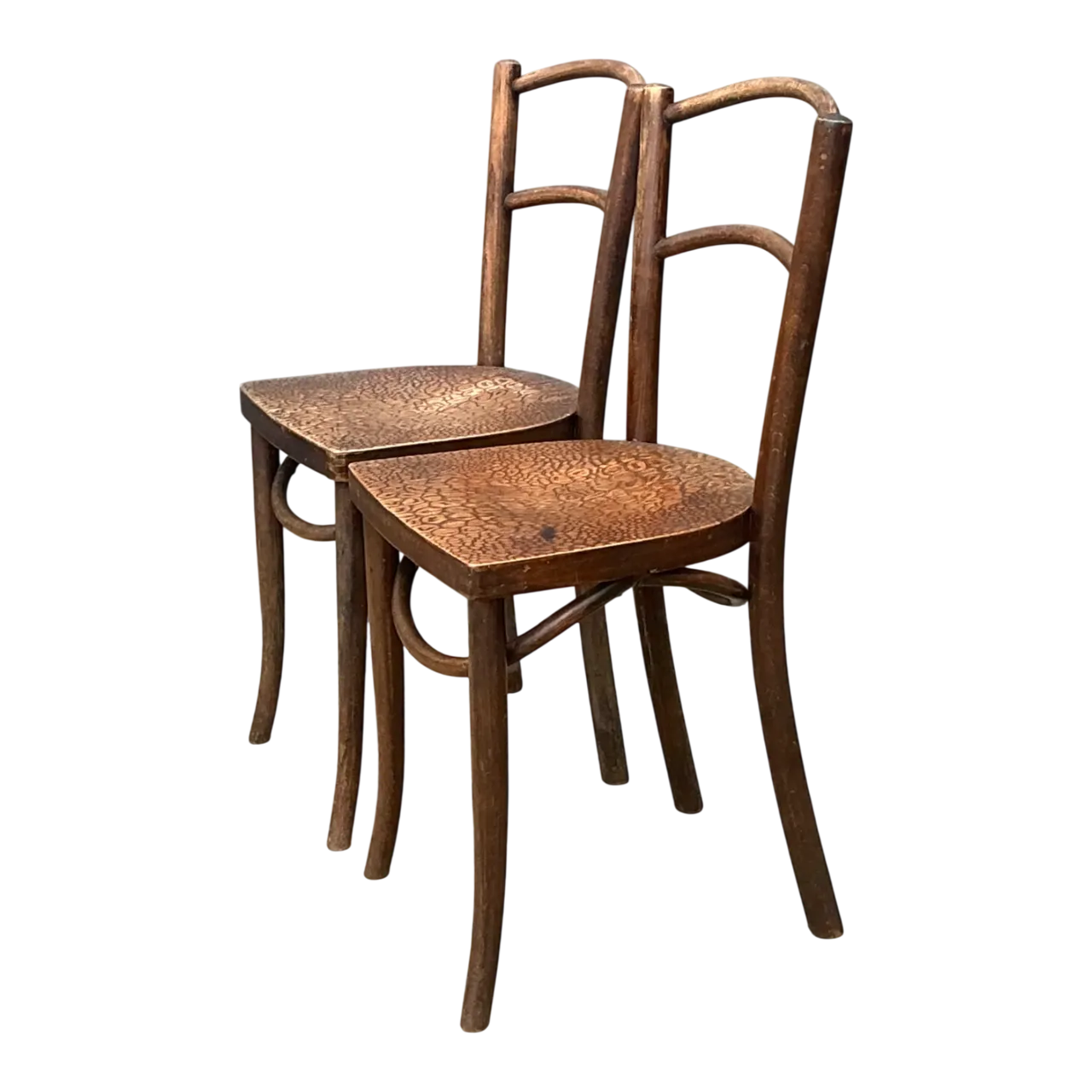 Vintage Carved Crocodile Wood Dining Chairs - A Pair