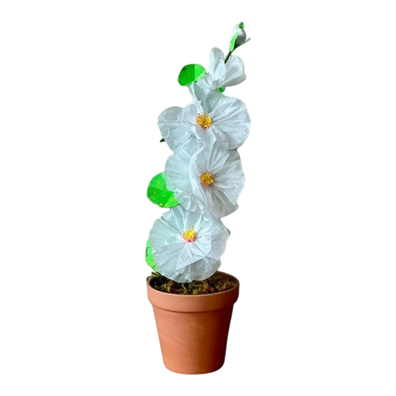 Contemporary Hand Rolled Paper Flowers