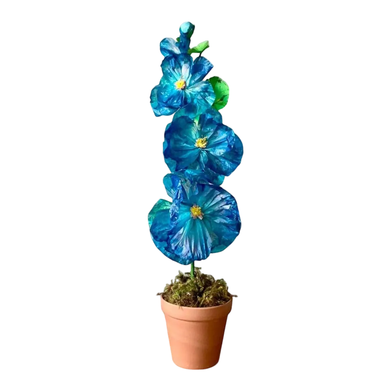 Contemporary Hand-Rolled Paper Flowers