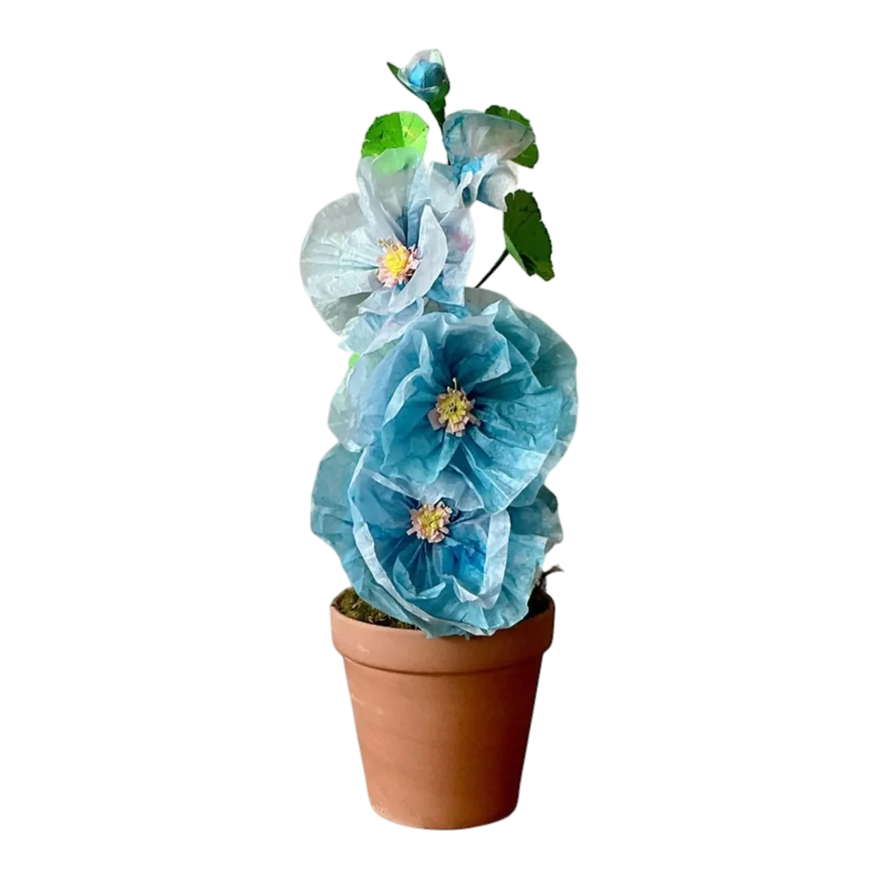 Contemporary Hand Rolled Paper Flowers - Terracotta, 6.5W x 20.5H