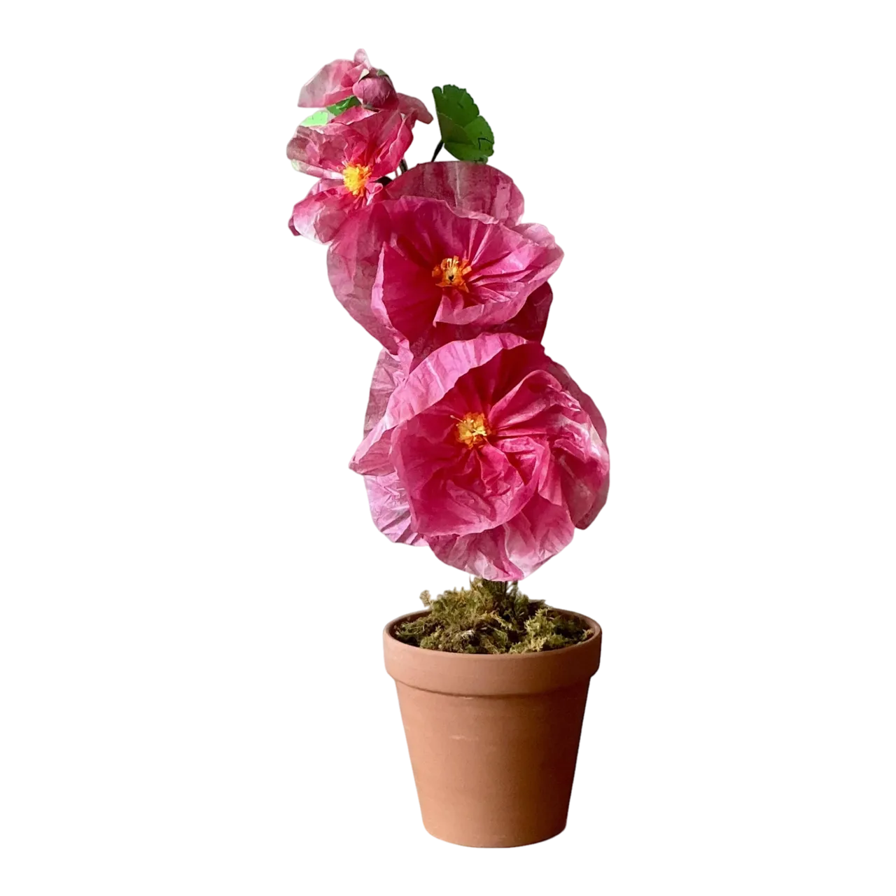Contemporary Hand Rolled Paper Flowers - Terracotta, 6.5W x 20.5H