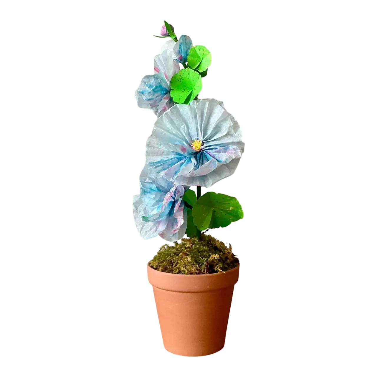 Contemporary Hand Rolled Paper Flowers - Terracotta, 6.5W x 20.5H