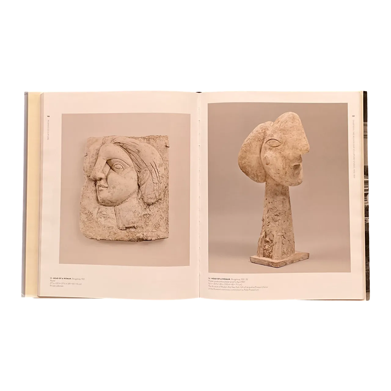 Picasso Sculpture Book