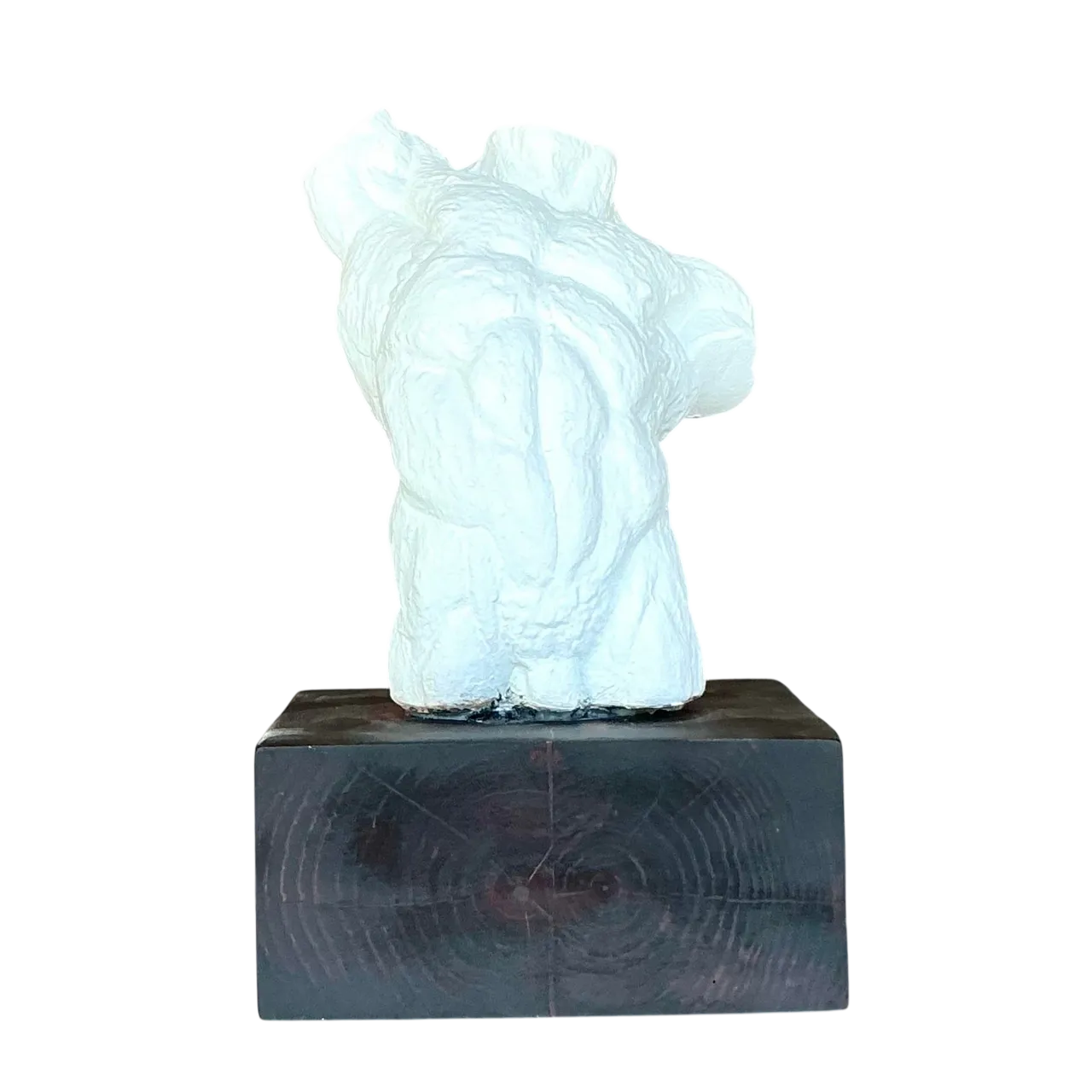 Mid 20th Century Vintage Boho Plaster Torso of Man