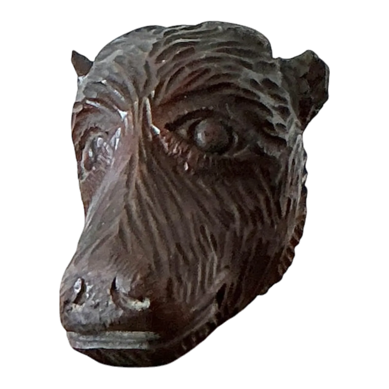 Vintage Boho Black Forest Carved Boar Head