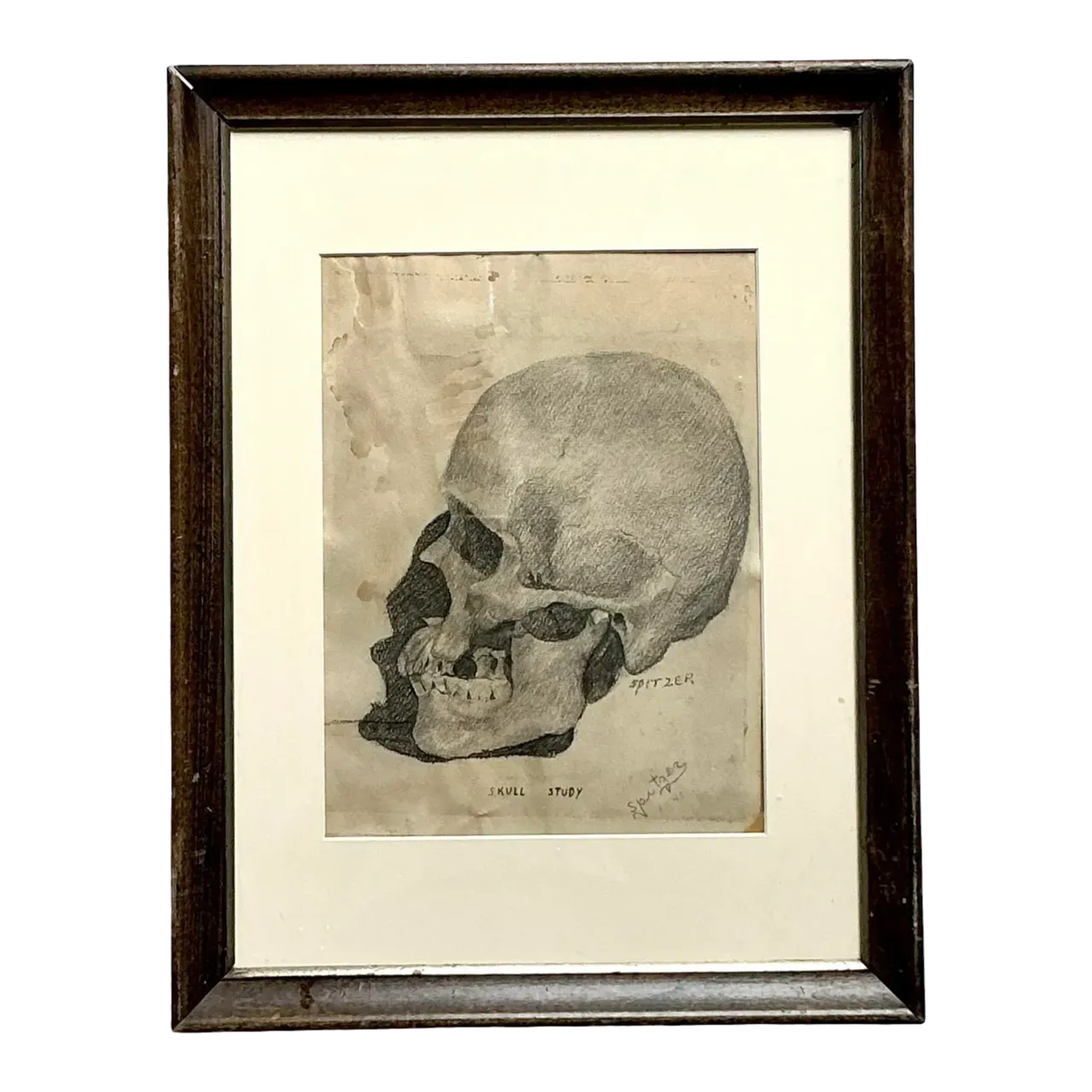Vintage Boho Original Pencil Sketch of Skull
