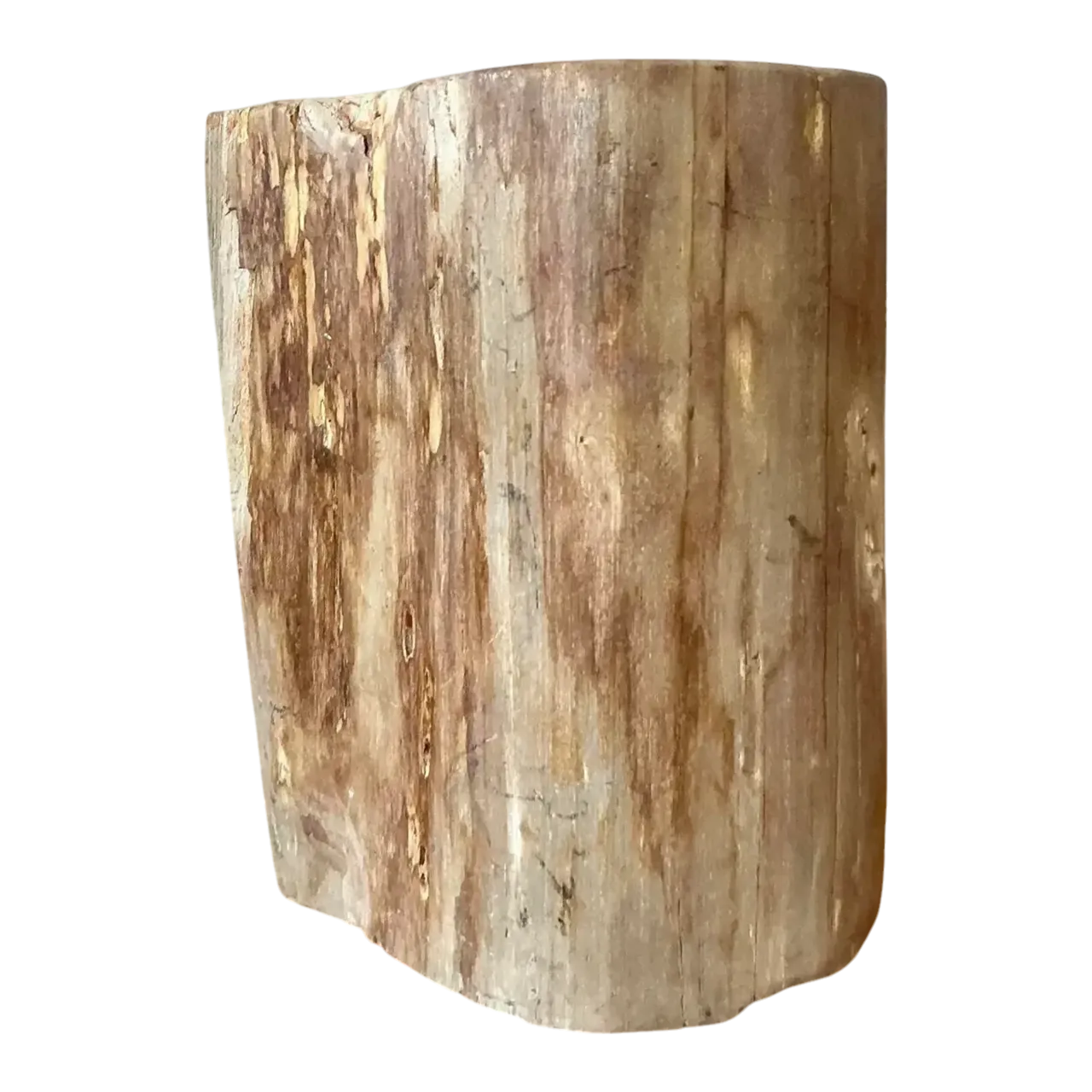Vintage Boho Petrified Wood