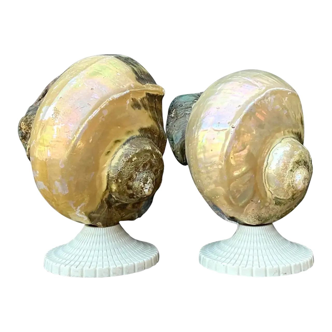 Vintage Deco Nautilus Shell Lamps - A Pair