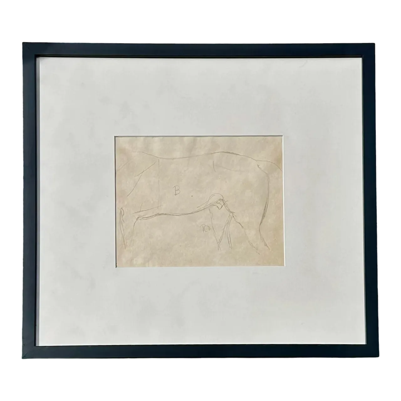 Vintage Framed Horse Body Sketch Drawing