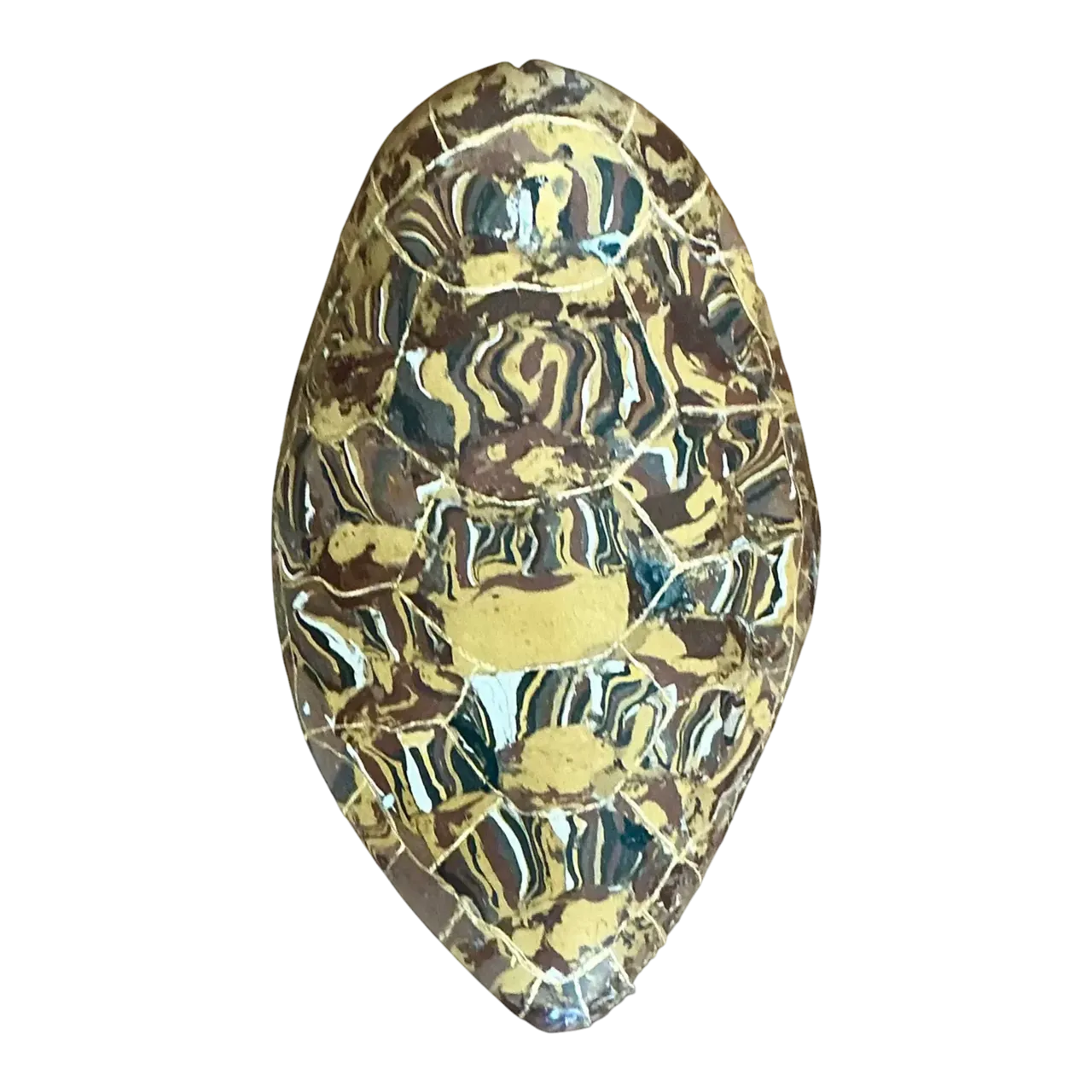 Vintage Italian Scagliola Gilt Tipped Pigmented Plaster Turtle Shell